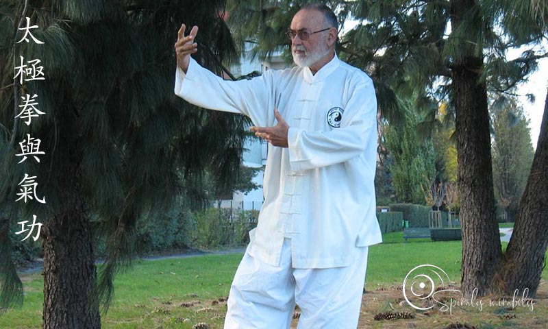 Spiralis Mirabilis - Rivista dedicata alle arti marziali cinesi e alla cultura tradizionale cinese con focus su Tai Chi QiGong e DaoYin