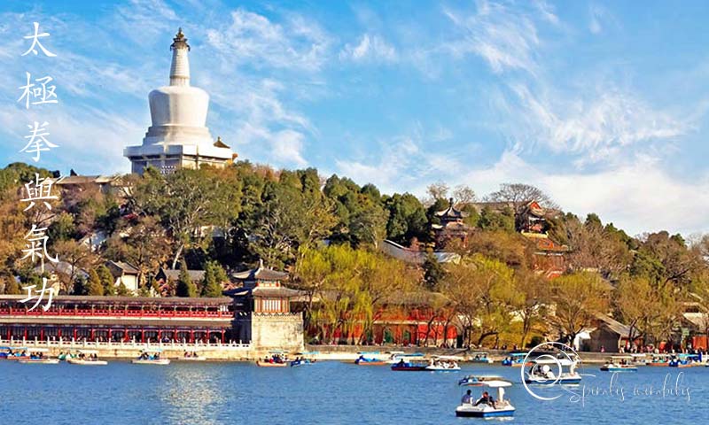 Spiralis Mirabilis - Rivista dedicata alle arti marziali cinesi e alla cultura tradizionale cinese con focus su Tai Chi QiGong e DaoYin